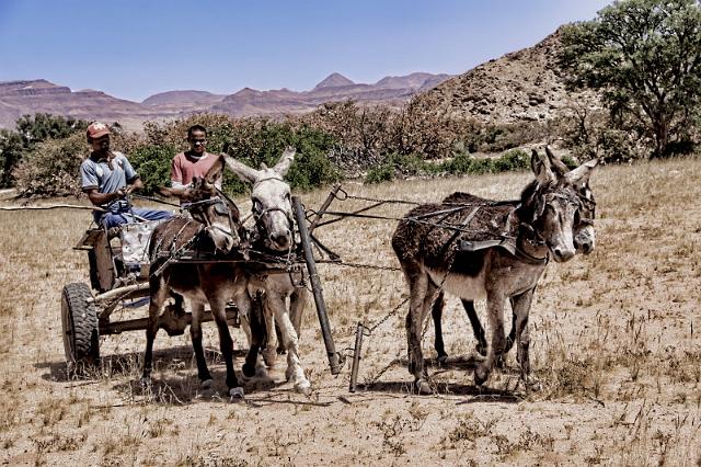 131 Damaraland.JPG